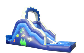 Inflatable Water Slide 2